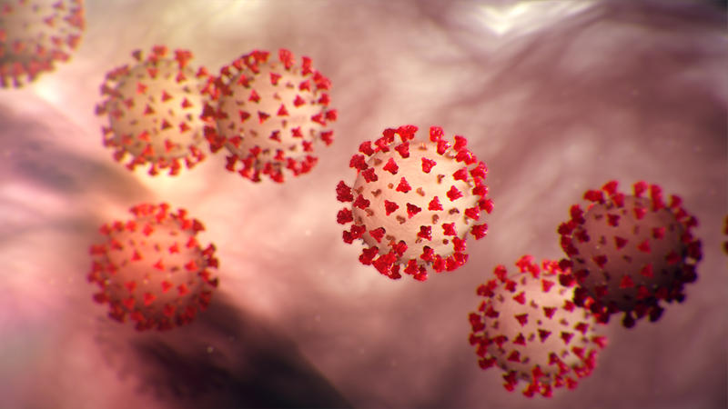 Point de situation N°4 & 5 – CORONAVIRUS